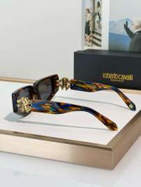 Picture of Roberto Cavalli Sunglasses _SKUfw69699337fw